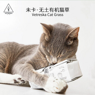 未卡 Vetreska 有机无土猫草 80g  猫零食  猫咪助消化  去毛球  调理肠道  无土栽培  猫草种子