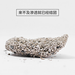 DRYMAX 洁客 快速结团活性炭除臭矿物膨润土低尘猫砂10L