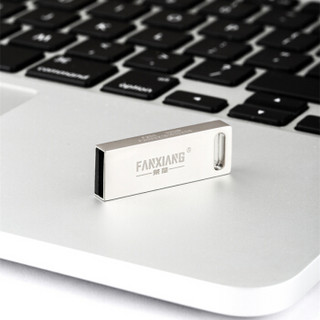 梵想（FANXIANG）64GB USB2.0 U盘 F203金属防水 小巧车载U盘