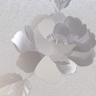 商品雨花泽(yuhuaze)印花玻璃贴膜 不透明浴室门窗户玻璃贴纸 办公室