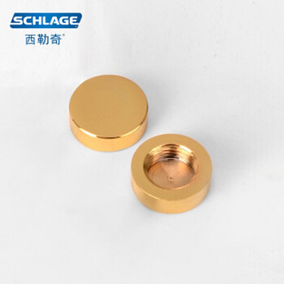 西勒奇 SCHLAGE 智能指纹锁镜钉配件