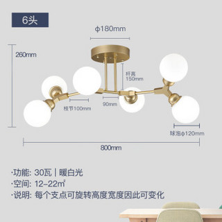 dongdong 咚咚 東東家居 LED分子灯星梦吊灯现代简约客厅卧室餐厅灯欧式魔豆灯具灯饰 30W