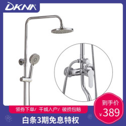 DKNA丹拿卫浴 淋浴花洒套装 全铜主体淋浴器 增压喷头 带下出水龙头 856008T