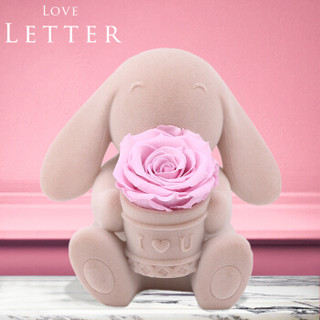 Love Letter 告白兔永生花礼盒 保鲜花非玻璃罩玫瑰花盒音乐盒520礼物送女友 生日礼物