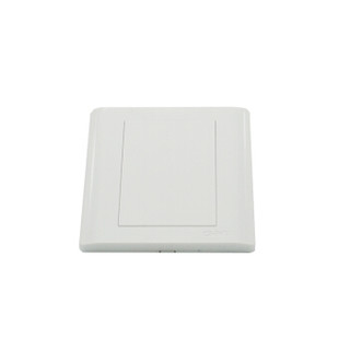 正泰 CHNT 墙壁插座  NEW7-W95100A一联空白面板 /个