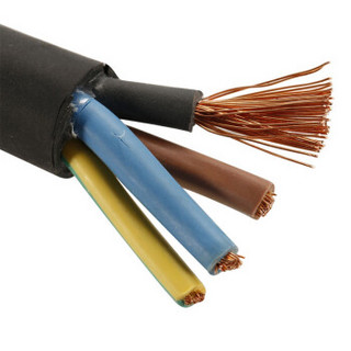 金山（JINSHAN)国标重型橡套线 软橡套线 电线 电缆 YC 4*50 1米 （定制预售300米起定）