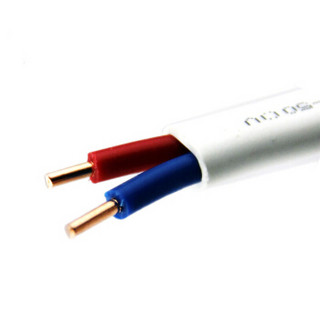齐鲁（QILU）电线电缆 BVVB2×2.5平方 国标铜芯 100米