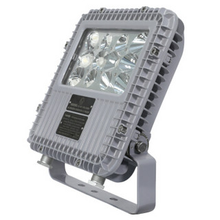 TORMIN LED厂房仓库工业应急防爆灯 BC9101A-L50 照明50W应急15W/25W