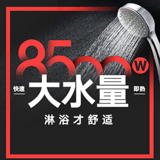 Dente 德恩特 DTR-702H 40L 电热水器