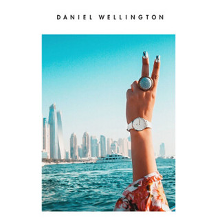 丹尼尔惠灵顿（DanielWellington）DW原装表带14mm皮带银色针扣女款DW00200162（适用于32mm表盘系列）