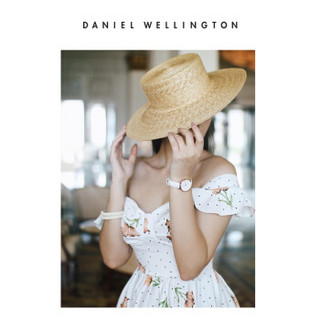 丹尼尔惠灵顿（DanielWellington）DW原装表带14mm皮带银色针扣女款DW00200162（适用于32mm表盘系列）