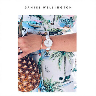 Daniel Wellington DanielWellington）DW原装表带12mm皮带银色针扣女款DW00200198（适用于28mm表盘系列）