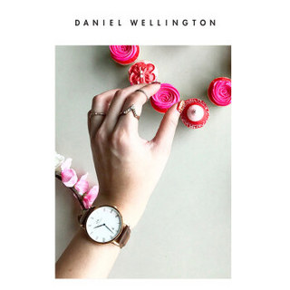 Daniel Wellington DanielWellington）DW表带17mm皮带银色针扣女款DW00200098（适用于34mm表盘系列）