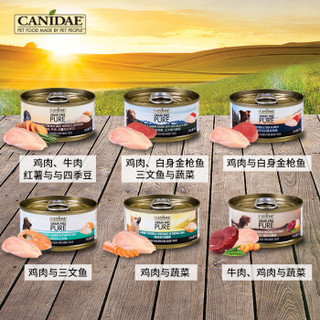 美国进口 卡比 Canidae 宠物罐头 狗粮 天然无谷  牛肉、鸡肉与蔬菜 狗罐头 156g