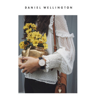 Daniel Wellington DanielWellington）DW表带14mm黑色尼龙玫瑰金针扣女款DW00200178适用于32mm表盘系列