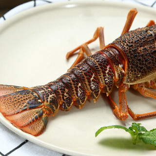 味库 南非鲜活大龙虾 200-300g 1只  海鲜水产