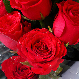花千朵11朵红色玫瑰花束礼盒鲜花速递同城送花520生日纪念日七夕情人节礼物送女生女朋友老婆