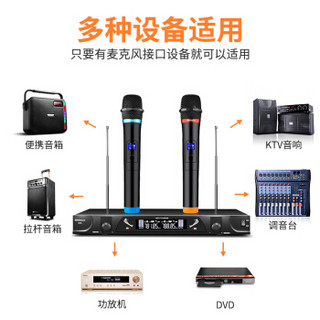 新科（Shinco）H73无线麦克风 一拖二家庭KTV音响K歌话筒主持会议演讲手持麦（标准版）
