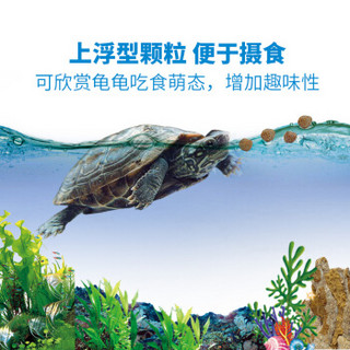huaxu 华畜 桑岛 高钙龟粮 1000ml