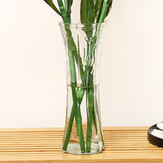 韵无涯 玻璃花瓶 现代简约创意插花摆件家居装饰品干花花瓶花艺 大号玻璃