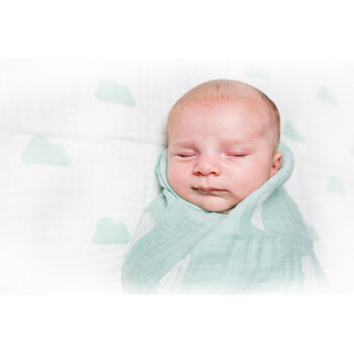 Lulujo Baby LJ502 婴儿包巾 新生儿棉质包巾 盖被 襁褓巾婴儿抱被 宝宝浴巾 2条组合装 100*100 LJ502 云朵