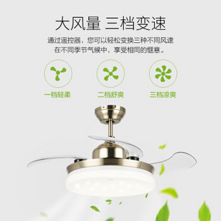 OPPLE/欧普照明 吊灯 欧普照明 50W