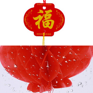 蒂利仕 婚庆节庆 传统大红塑纸灯笼十个装新年春节结婚开业挂饰可折叠防水防晒装饰用品 16cm10个装