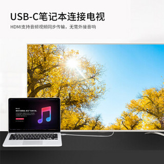 iSky type-C转HDMI转接头转换器 USB-C笔记本电脑扩展4K高清视频线苹果、华为Mate10/pro 三星S8接电视投影仪