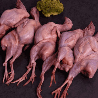 吴琼 鹌鹑肉  5只/约750g 鹌鹑 鸟肉 烧烤食材