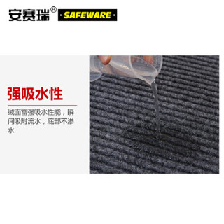 安赛瑞 双条纹PVC复合地垫 条纹绒面PVC地毯垫 雨天吸水防滑走道通道地垫 0.9×10m 13702