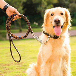 梦幻泡泡 狗链狗绳中大型犬狗狗宠物牵引绳狗链子小型犬遛狗绳狗项圈哈士奇金毛狗链宠物狗用品L