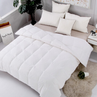 商品京造90%羽绒被水洗白鸭绒被被芯四季被冬被被子220x240cm 白色