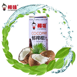 椰娃 椰汁 海南特产 正宗鲜榨椰汁 245ML*6铁罐装 生榨椰子汁椰奶植物蛋白饮料