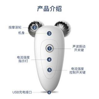 莱后（laihoo）美容仪微电流微脸家用脸部美容器电动充电按摩滚轮面部导入按摩器 LH-1101