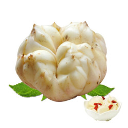 储山霍山新鲜百合400g现挖农产品安徽大别山土特产非宜兴兰州甜百合