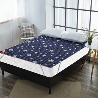 维科家纺 床垫床褥家纺 四季可用双人轻薄床垫保护垫子 可折叠床褥子 1.2米 120*200 星空