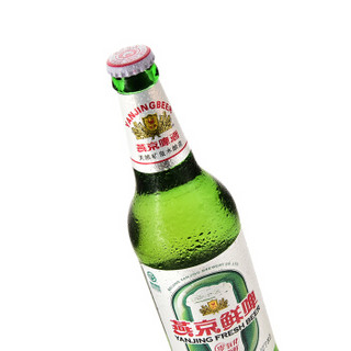 YANJING BEER 燕京啤酒 10度鲜啤 500ml*12瓶