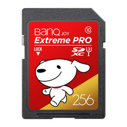 BanQ 喜宾 256GB SD存储卡 U3 C10 A1 京东JOY联名款