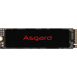 Asgard 阿斯加特 AN2系列-极速版 M.2 NVMe 固态硬盘 2TB