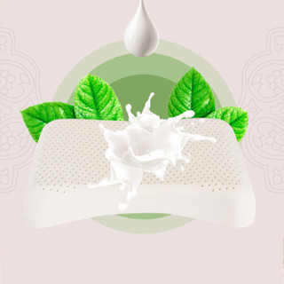 雅自然 斯里兰卡原装进口乳胶枕头枕芯 颈椎护颈枕平面枕 60*40cm 平均乳胶含量95%