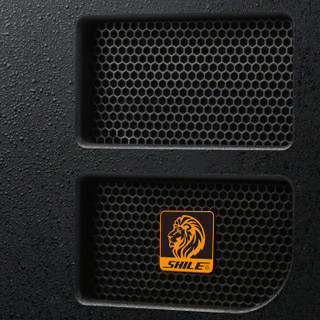 狮乐 SHILE）AV2080/BM25/天琴十号/YW-1/SH12 专业纯后级功放带双15英寸大功率音响组合 演出用大功率套装