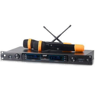 狮乐 SHILE）AV2080/BM25/天琴十号/YW-1/SH12 专业纯后级功放带双15英寸大功率音响组合 演出用大功率套装