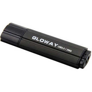 光威 (Gloway) G速时空系列 256G U盘 USB3.0 褐色