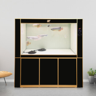 商品仟湖of专业龙鱼御龙殿三s 长度155cm黑色 超白玻璃缸水族箱底部