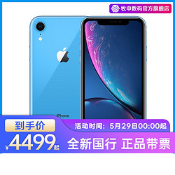 iPhone XR 全网通4499/4899不用券