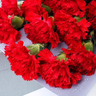 花千朵19朵红色康乃馨花束礼盒母亲节鲜花速递同城送花520教师节生日纪念日礼物送妈妈送老师