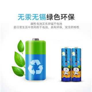 德力普（Delipow）电池 5号电池 碱性电池30粒装适用于玩具/遥控器/电子秤