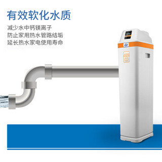 汉斯希尔（SYR）中央软水机 全屋家用软水处理器 除水垢 2吨型WS-3001-18-03