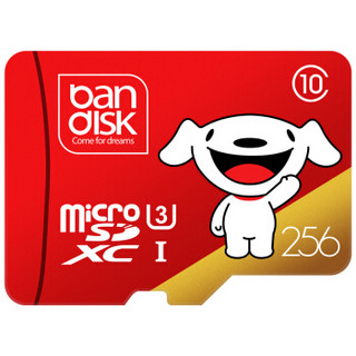 麦盘（bandisk）256GB TF（MicroSD）存储卡 U3 C10 A1 Plus版 读速100MB/s行车记录仪监控