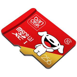 麦盘（bandisk）256GB TF（MicroSD）存储卡 U3 C10 A1 Plus版 读速100MB/s行车记录仪监控